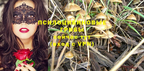 ECSTASY Белоозёрский